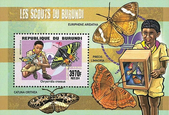 East African Sunset Moth (Chrysiridia croesus)