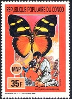Western Mimic Forester (Euphaedra eusemoides)