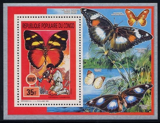 Western Mimic Forester (Euphaedra eusemoides)
