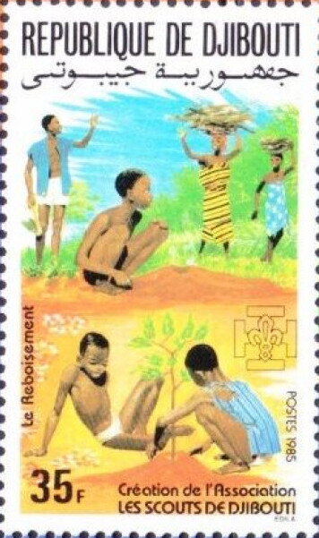 Reforestation, Young People Planting a Tree