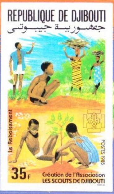 Reforestation, Young People Planting a Tree