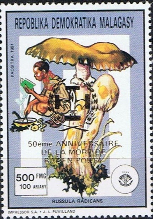 Russula radicans