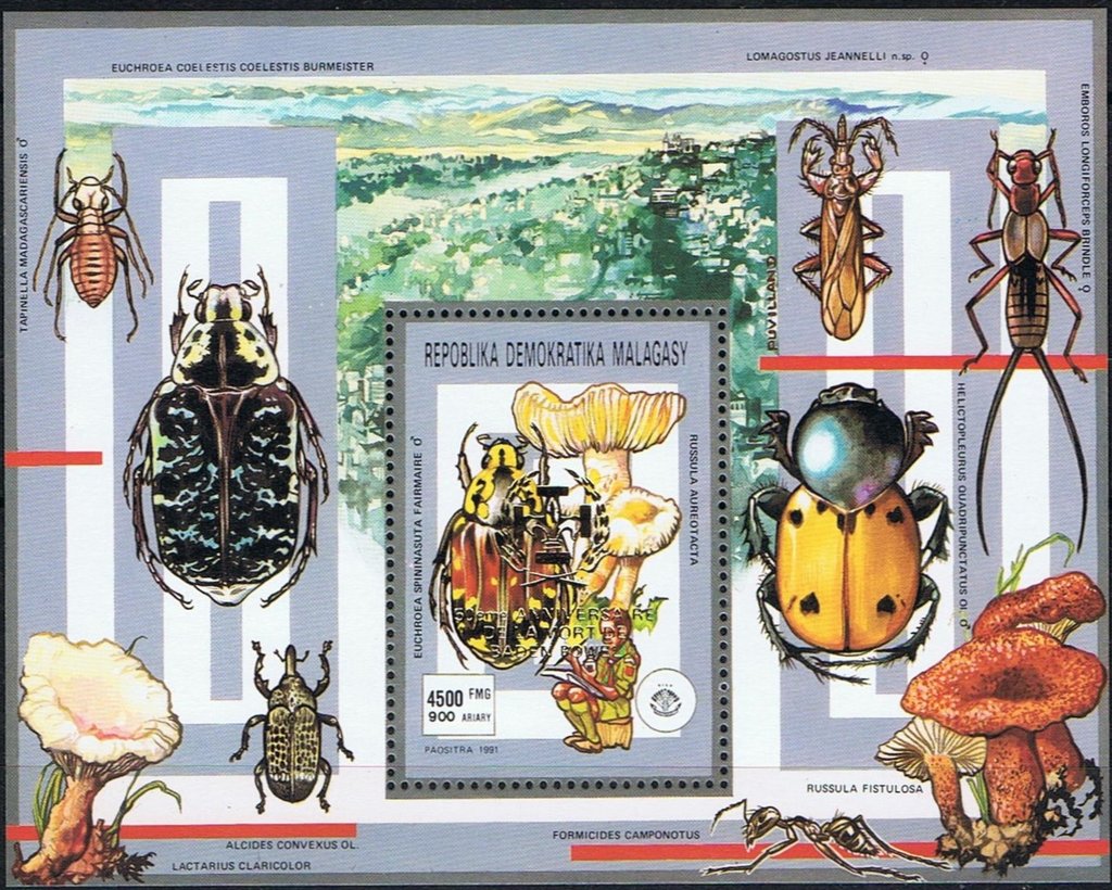Scouts, Insects and Mushrooms