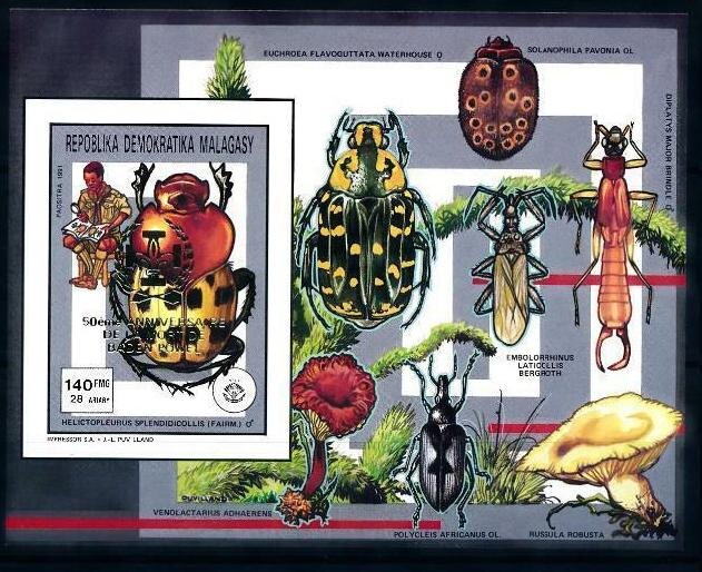 Splendid-necked Dung Beetle (Helictopleurus splendidicollis)