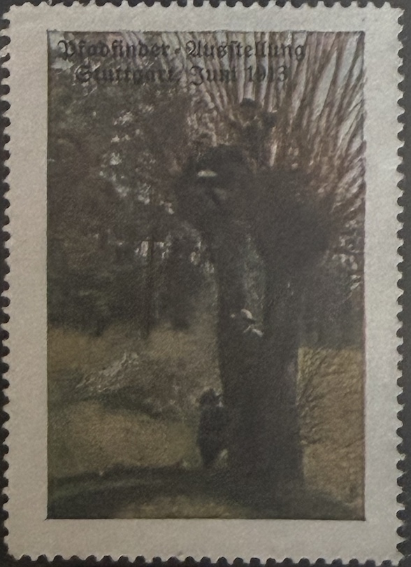 Climbing the pollard willow