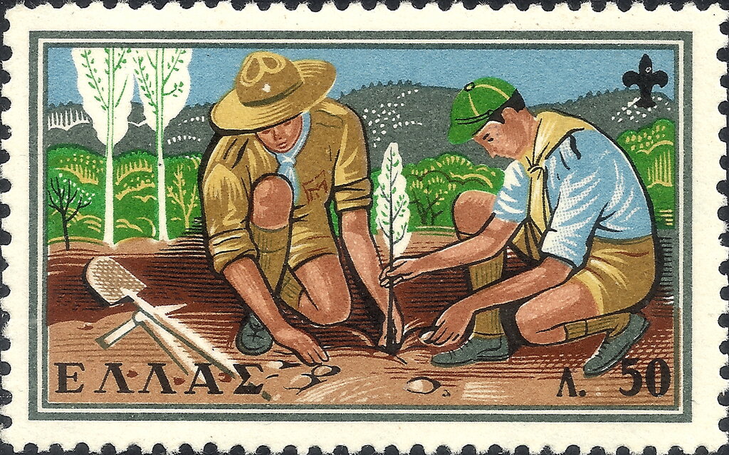 Scouts planting a tree