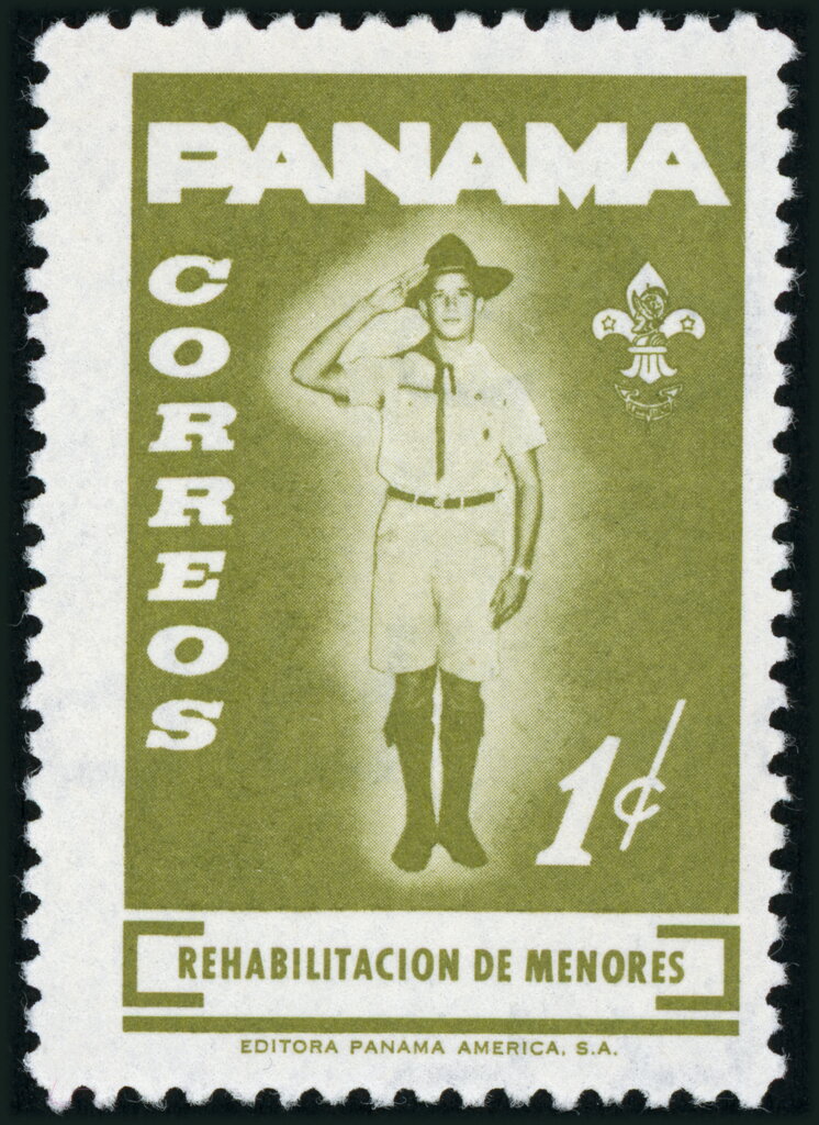 Scout