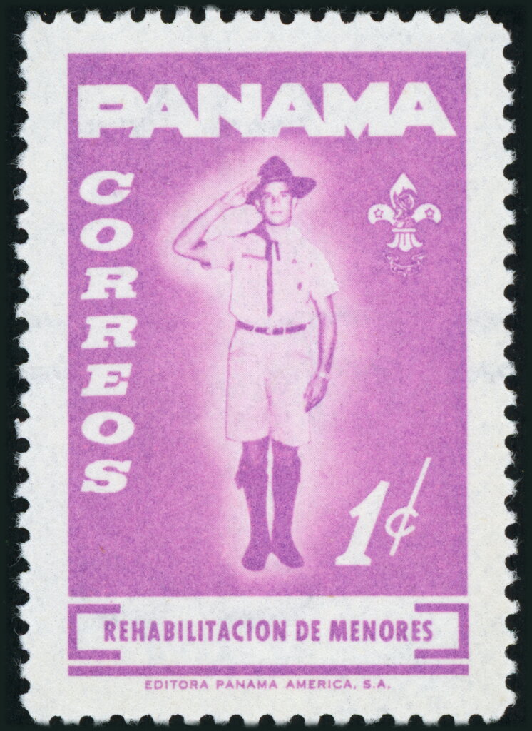Scout