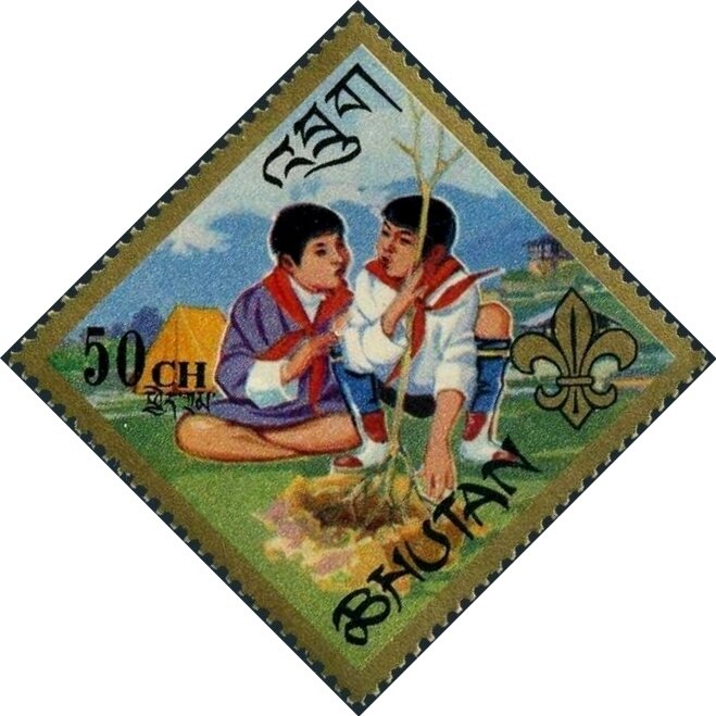 Scouts planting a tree