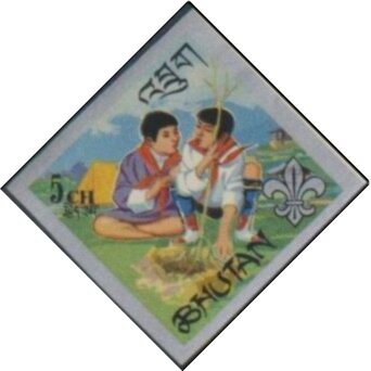 Scouts planting a tree