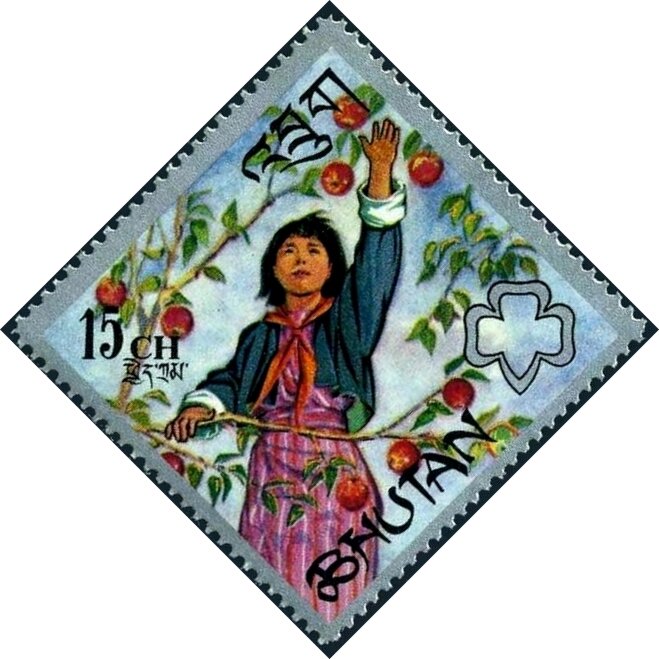 Girl Guide picking fruit
