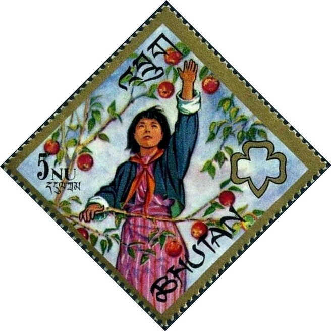 Girl Guide picking fruit