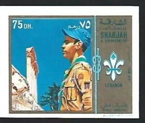 Scout from Lebanon
