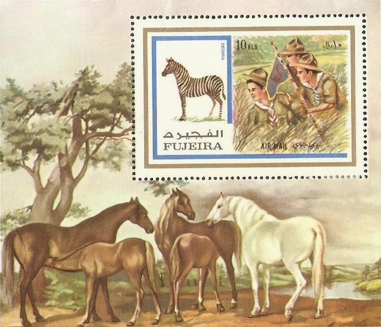 Scouts and zebra
