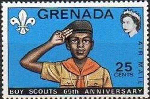 Scout salute