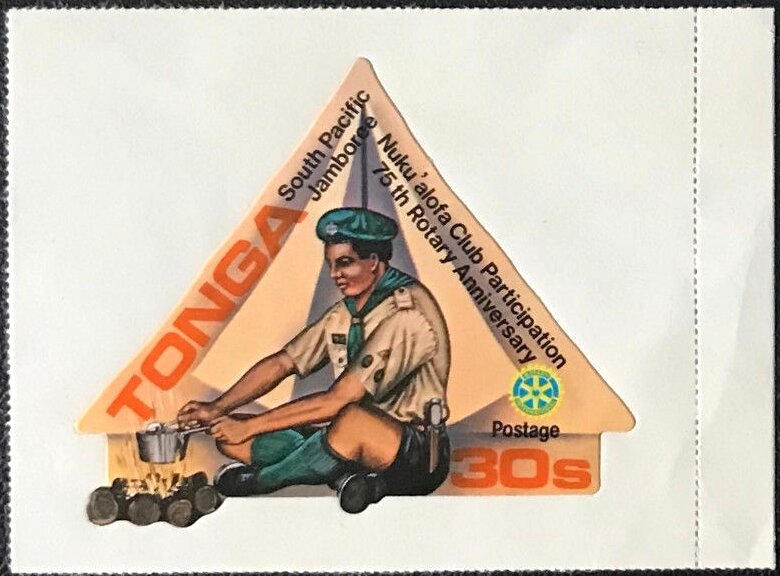 Scout cooking