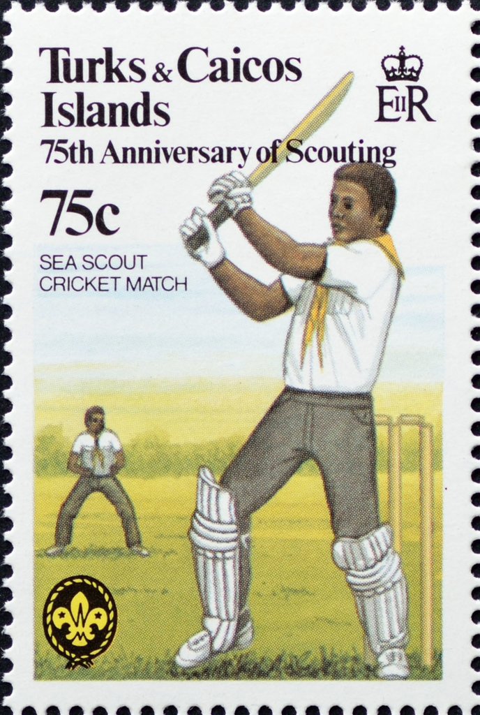 Sea Scout Cricket Match