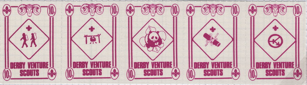 Derby Venture Scouts