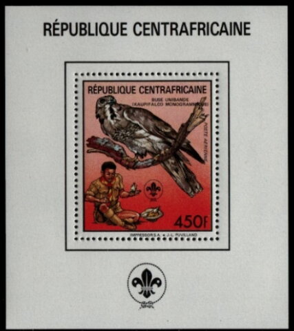 Lizard Buzzard (Kaupifalco monogrammicus)