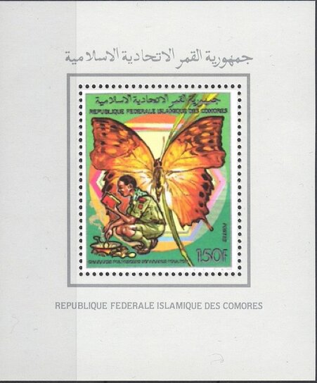Forest Pearl Charaxes (Charaxes fulvescens)