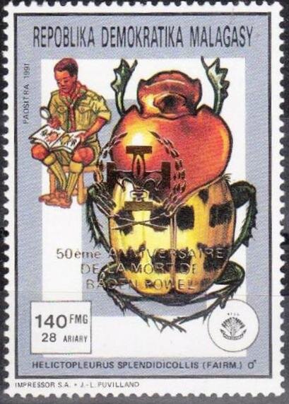 Splendid-necked Dung Beetle (Helictopleurus splendidicollis)