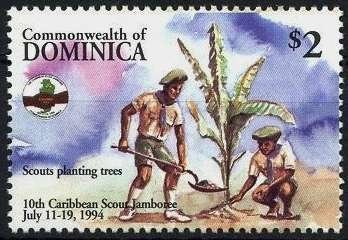 Planting trees