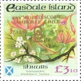 Shrubs - gold overprint