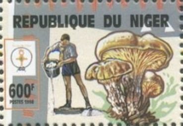Mushroom