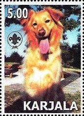Mutt