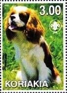 Cavalier King Charles Spaniel