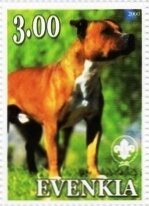 Staffordshire Bull Terrier