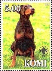Dobermann