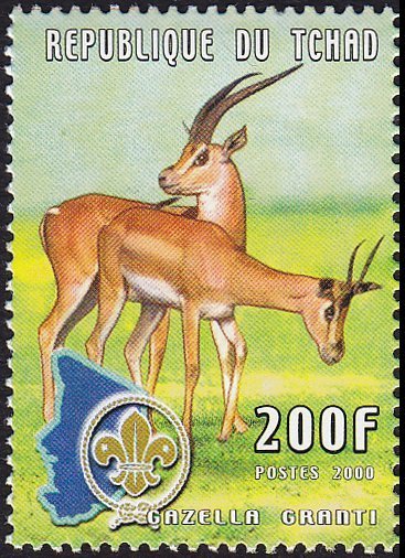 Grant's Gazelle (Gazella granti)