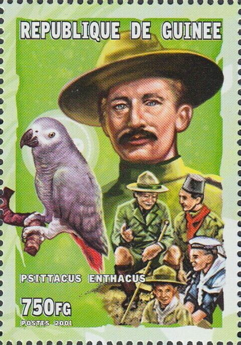 Lord Robert Baden-Powell, Grey Parrot (Psittacus erithacus)