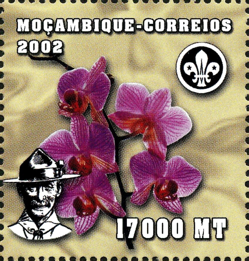 World Scout Jamboree