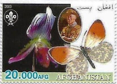 Orchids & Butterflies