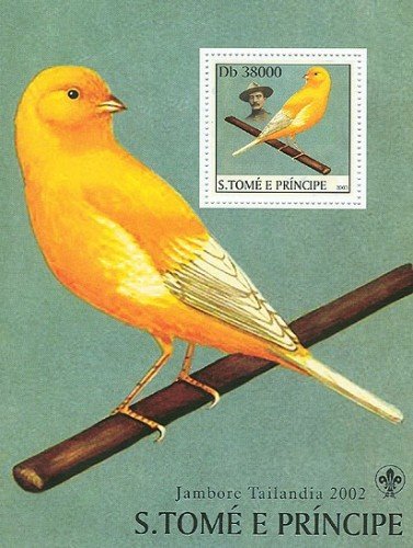 Songbird