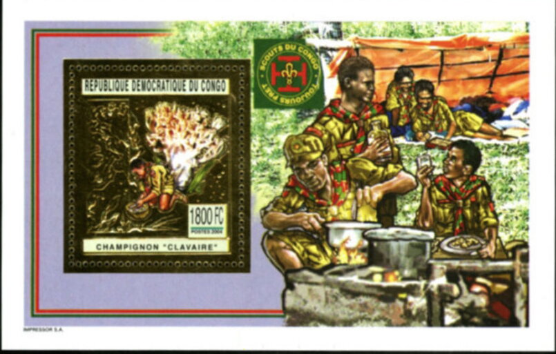 Scouts and Clavarioid fungi