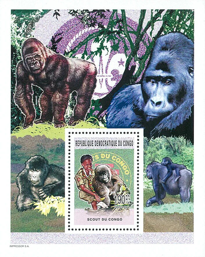 Scout and Gorillas