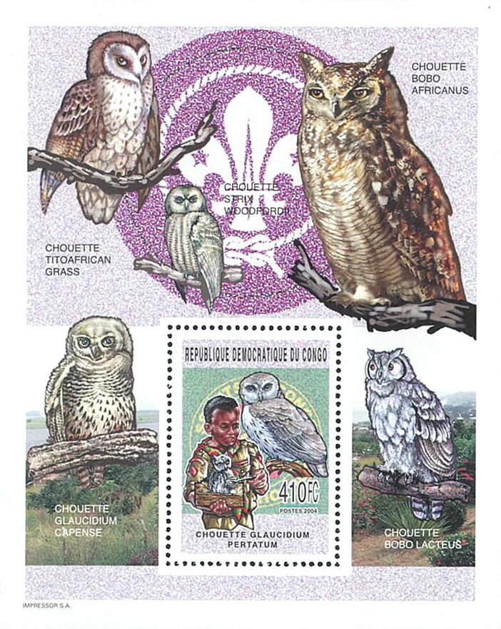 Scout and Owls