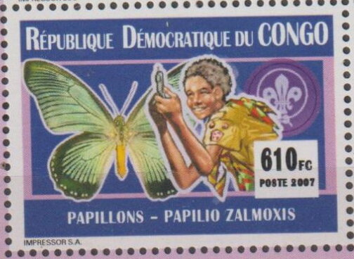 Scout and Papilio zalmoxis