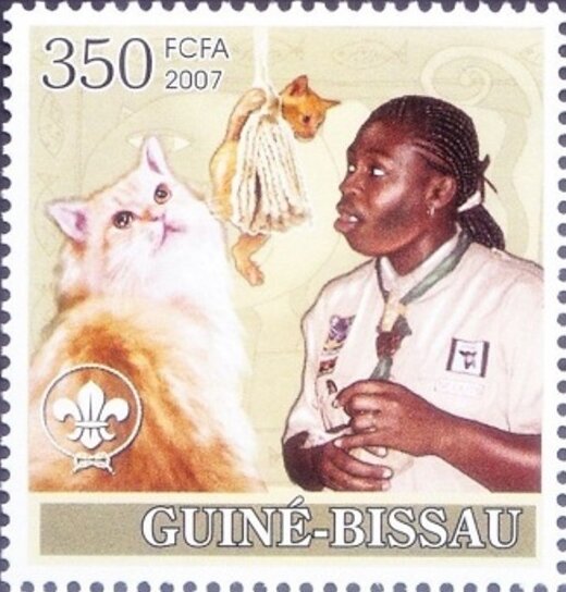 Centenary of Scouting / Scouts / Cats