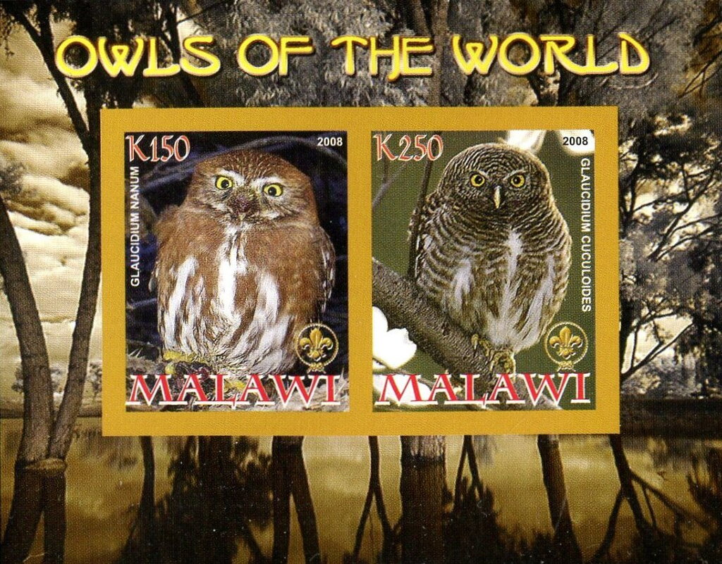 Owls of the World