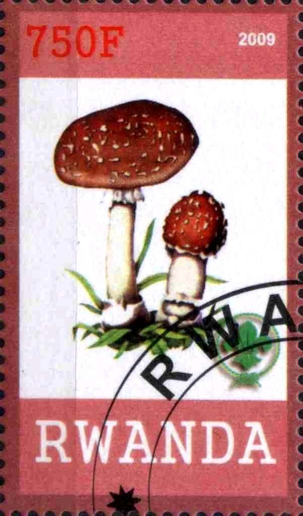 Mushrooms