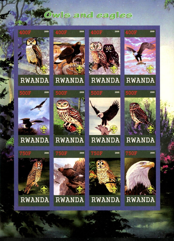 Owls and Eagles