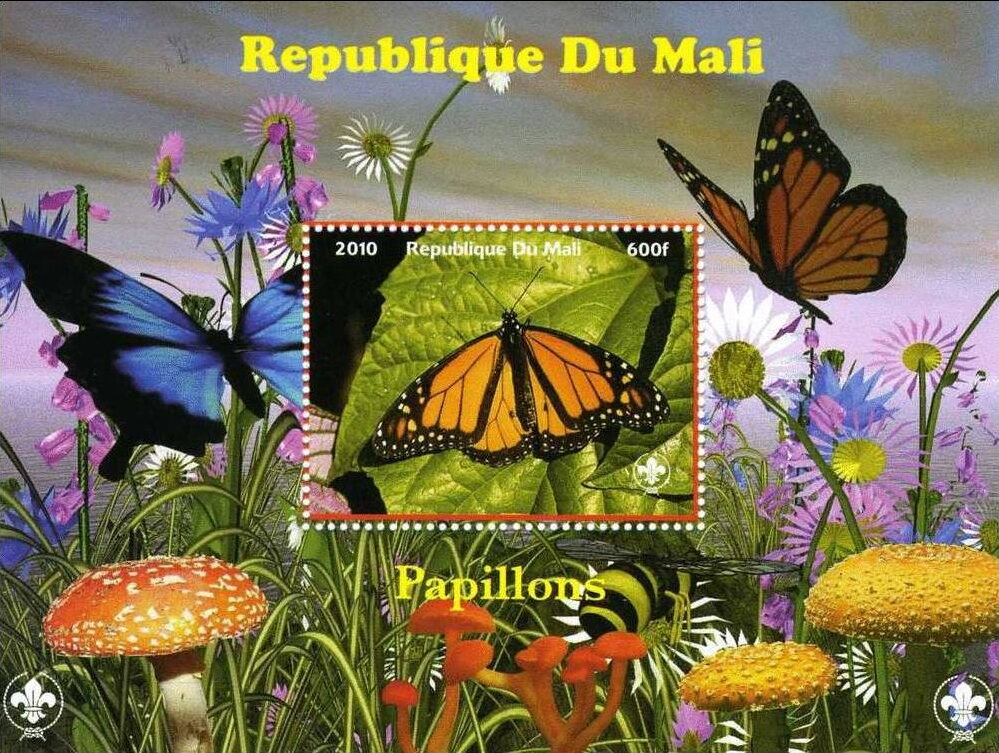 Butterflies