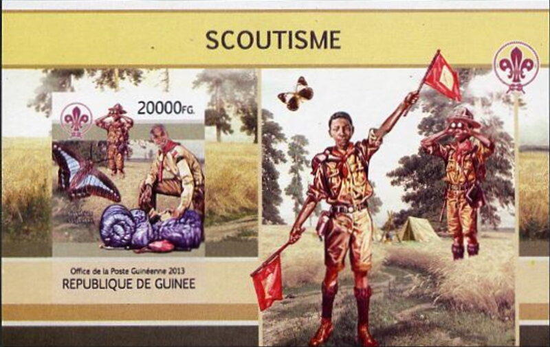 Scouts and Butterflies