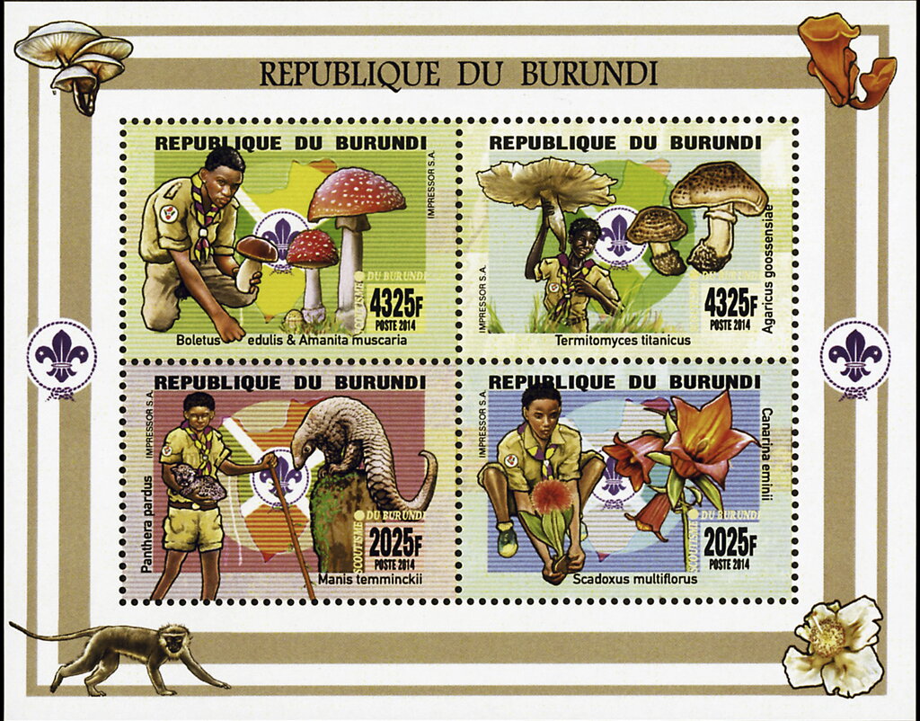 Scouting - Flora and Fauna