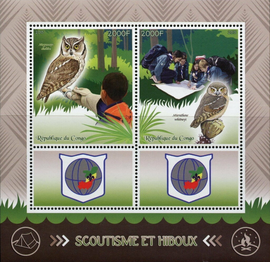 Scouting and Owls