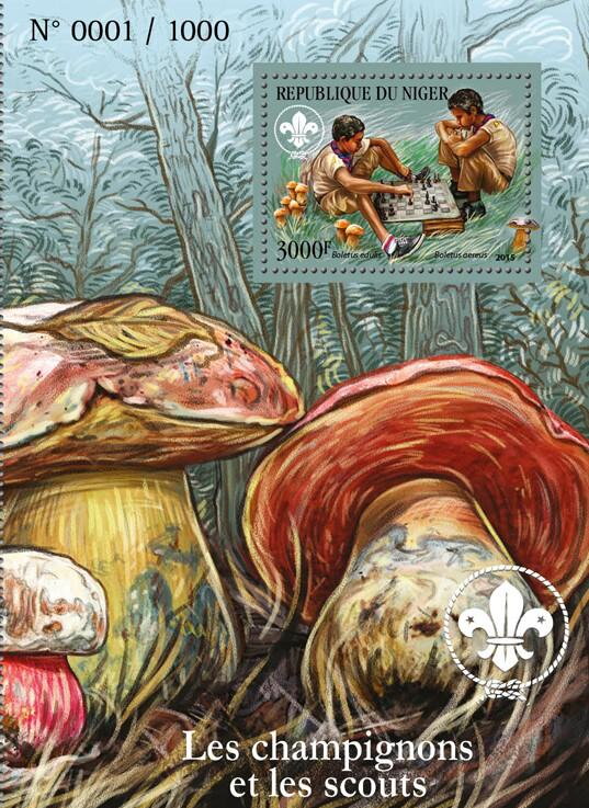 The Mushrooms and the Scouts